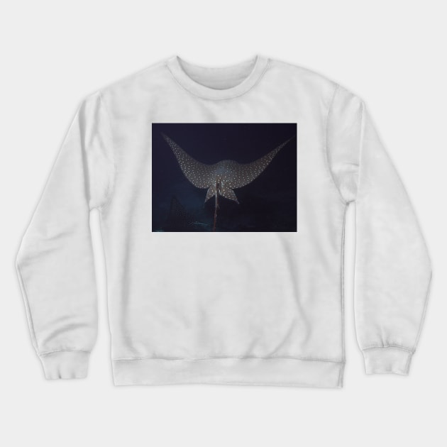 Eagle Ray In Flight Crewneck Sweatshirt by jbbarnes